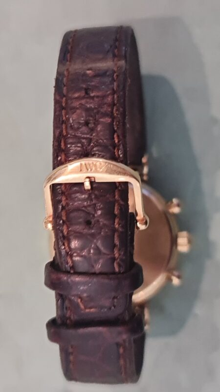 iwc da vinci polijsten