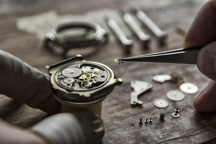 Patek Philippe reviseren