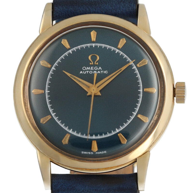 omega seamaster revisie
