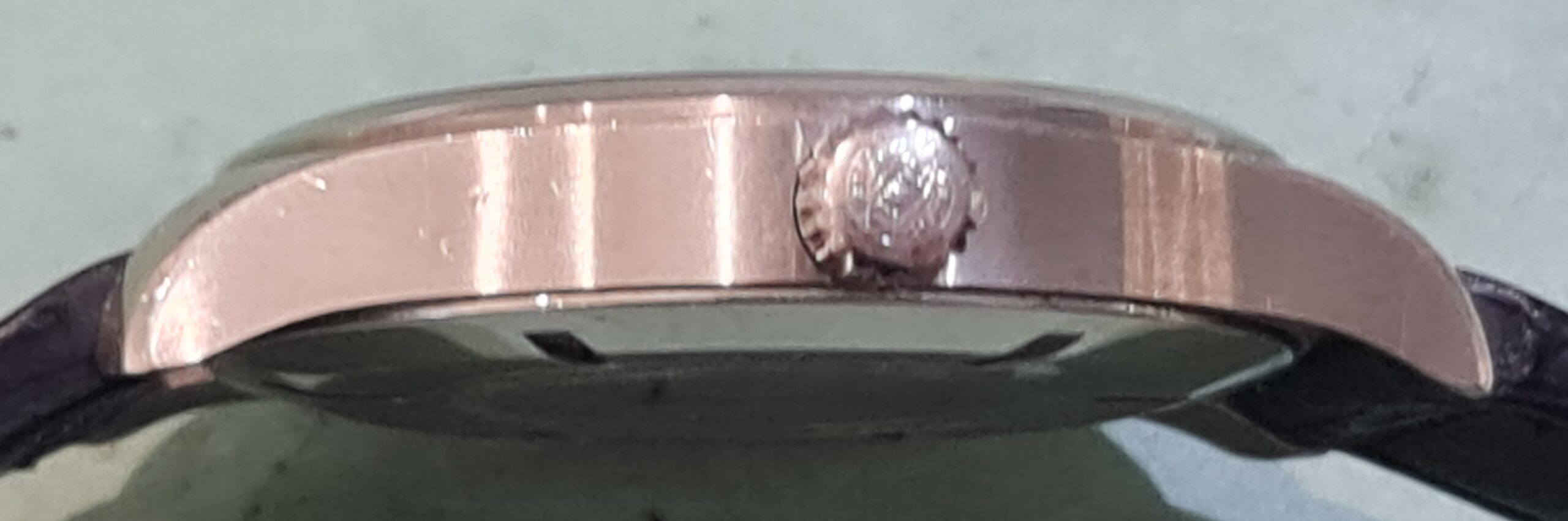 iwc automatic reviseren