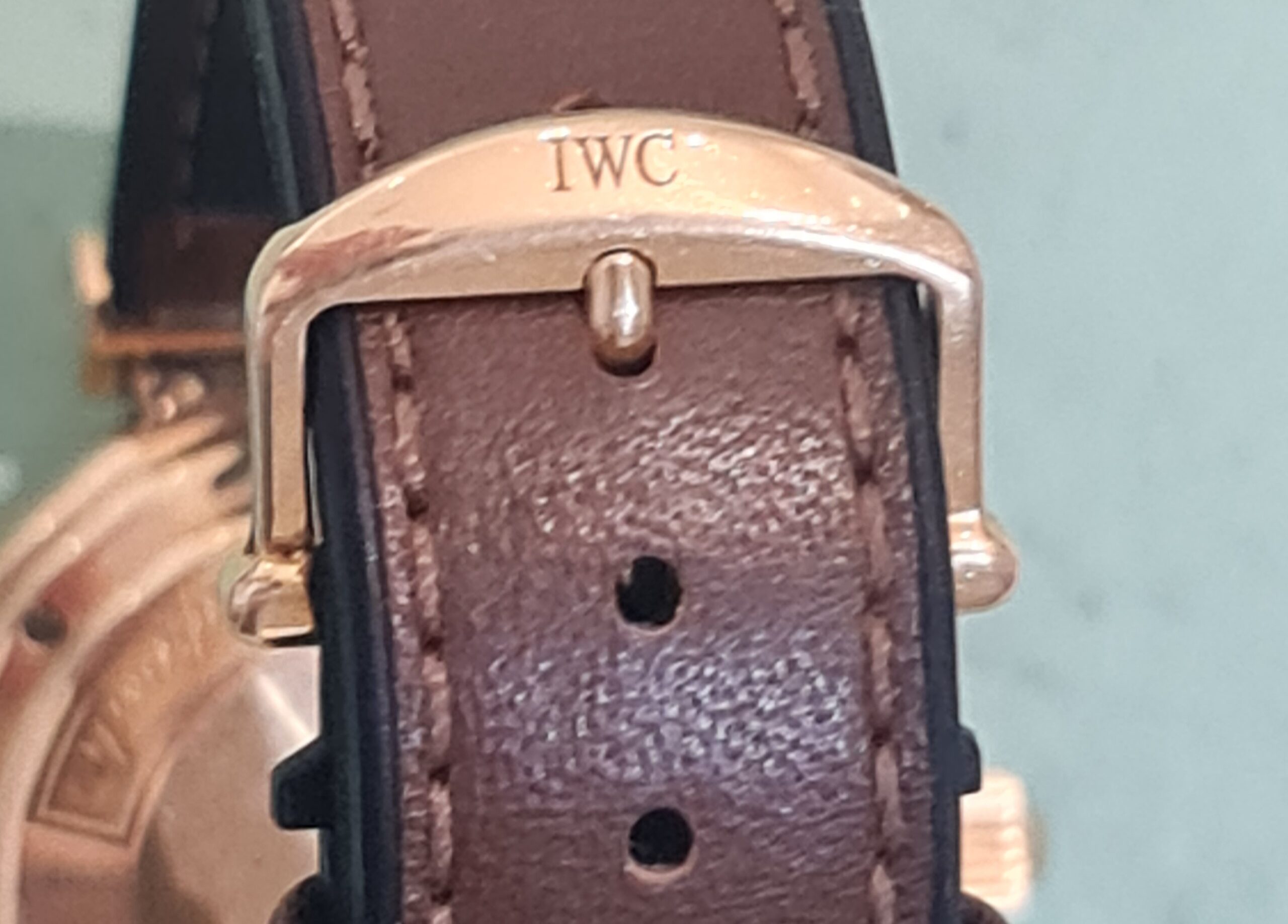iwc buckle polijsten