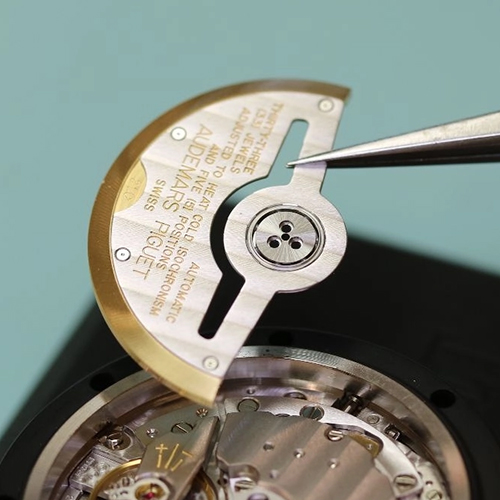 Audemars Piguet Royal Oak services