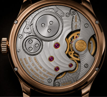 iwc revisie