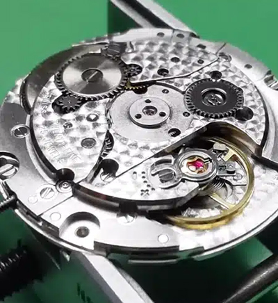patek revisie
